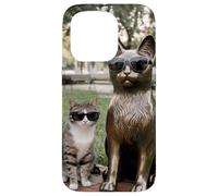 Chat Duo Lunettes de Soleil Statue Funny Park Coque pour iPhone 15 Pro