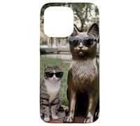 Chat Duo Lunettes de Soleil Statue Funny Park Coque pour iPhone 15 Pro Max