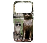 Chat Duo Lunettes de Soleil Statue Funny Park Coque pour iPhone 17 Pro