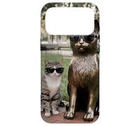 Chat Duo Lunettes de Soleil Statue Funny Park Coque pour iPhone 17 Pro Max