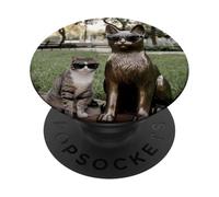 Chat Duo Lunettes de Soleil Statue Funny Park PopSockets PopGrip Adhésif