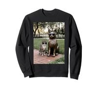 Chat Duo Lunettes de Soleil Statue Funny Park Sweatshirt