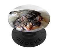 chat endormi rouge noir chaton couverture Amoureux des chats PopSockets Support et Grip pour Smartphones et Tablettes