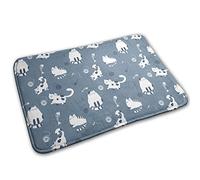 Chat Et Poisson Rigolos Paillasson D'Entree Anti-Salissures Tapis De Douche Absorbant Tapis De Bain pour Extérieur Salon Cuisine 40X60Cm