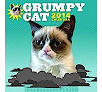 Chat grincheux