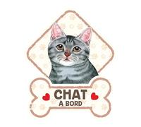 Chat Gris - Panneau pour Pare-Brise avec Ventouse- Mon Chat est à Bord. Plaque signalétique pour Tous Type véhicule. Chat à Bord, en Ballade, on Tour.