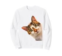 Chat Mignon Curieux de Couleur marbre avec Yeux Verts Sweatshirt