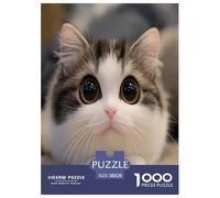 Chat Mignon Puzzle 1000 Pièces Educa Jouet en Bois Divertissement Créatif De l'art De La Décoration Jeu Éduchatif Challenge Toy pour Adultes Et Enfants À Partir De 12 Ans 38x26cm/1000pcs