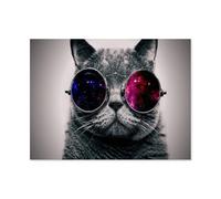 Chat mystérieux avec des Lunettes，Puzzle 1000 Pieces Grands Loisirs de Vacances ， Jeux interactifs en Famille（50x70cm）-Q68