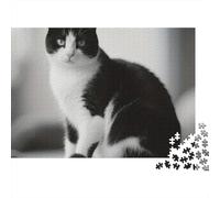 Chat Noir Blanc Puzzle 1000 pièces pour Adultes Chat Tuxedo Assis Élégant Premium Haute Qualité Épais Robuste Vibrant Défiant Jeu Familial 52x38cm/1000pcs