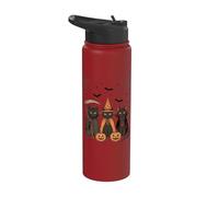 Chat noir d'Halloween | Chat effrayant, sorcière et vampire Stainless Steel Insulated Water Bottle