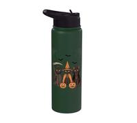 Chat noir d'Halloween | Chat effrayant, sorcière et vampire Stainless Steel Insulated Water Bottle