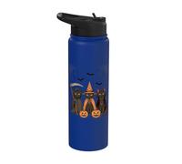 Chat noir d'Halloween | Chat effrayant, sorcière et vampire Stainless Steel Insulated Water Bottle