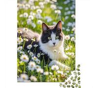 Chat Noir et Blanc Parmi Les Marguerites Puzzle Art Animalier 1000 Pcs Carton Recyclé pour Adolescents Couleurs Vives Anti-Stress Loisir Créatif Décoration Murale Haute Qualité 38x26cm/1000pcs