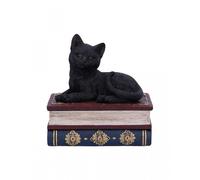 Chat noir sur une boîte de livre magique 11,7cm