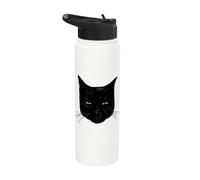 Chat noir suspect Stainless Steel Insulated Water Bottle