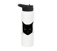 Chat noir suspect Stainless Steel Insulated Water Bottle