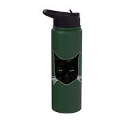 Chat noir suspect Stainless Steel Insulated Water Bottle