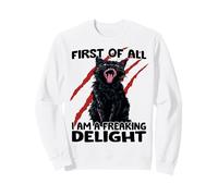 Chat Noir zoomies Chat du Chaos Chat Domestique agressif Sweatshirt