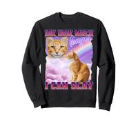 Chat Orange drôle Meme Internet Culture Gen Z Sarcastique Sweatshirt
