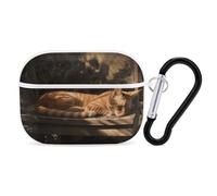 Chat orange endormi pour Airpod Pro Coque rigide de protection complète contre les chutes avec porte-clés compatible avec AirPod Pro 2e/1ère génération, LED avant visible, blanc