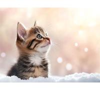 Chat Peinture Diamant Adulte, Diamond Painting Enfant, 5D Diamant Strass Point de Croix Cristal Kit Broderie, Diamond Painting Animal pour Adultes Débutants Maison Décor Artisanat 60x45 cm K-4916