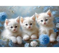 Chat Peinture Numero Adulte, Animal Peinture par Numéro pour Débutant Série Colorée, Loisir Creatif Enfant D'art Artisanales Kit Paint by Numbers, avec Dessin de Pigment Acrylique 40x50 cm X-3384