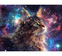 Chat Peinture par Numéro Adulte avec Cadre, 30x40cm Peinture par Numero Adulte Loisir Creatif, DIY ciel étoilé Peinture Numero Enfant Débutants, avec Peintures et 3 Pinceaux, Decoration Murale Maison