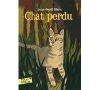 CHAT PERDU