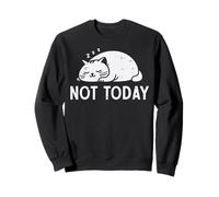 Chat Qui dort Pas Aujourd'hui Chaton Amusant pour Femmes, Filles et Enfants Sweatshirt