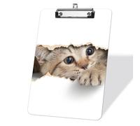 Chat regardant à travers un trou Blocs-notes avec pince métallique plate, format standard A4 Letter Bloc-notes 22,9 x 31,8 cm, bloc-notes en acrylique pour le bureau, l'école, les élèves-Clip argenté