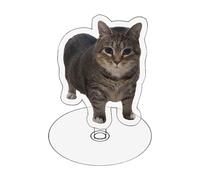 Chat rotatif en acrylique | Statue plate en acrylique | Décoration exquise amusante pour la maison et la chambre, pour les amoureux des chatons, pour chambre à coucher, salon et bureau