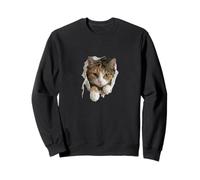 Chat Tea Tiger [Chemise déchirée] Photo [Design étrange] Joli Cadeau en Vrac drôle Sweatshirt