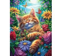 Chat tigré dans la forêt magique 1000 Pièces Puzzle Pour Ado En Carton Haute Qualité Épais Animal mignon de conte de fées Facile Débutant Jeu De Société Cadeau Fête Des Pères Petit Prix Qualité Premiu