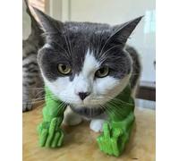 Chat with Muscular Arms - Accessoire De Costume Amusant en Impression 3D pour Chats Et Petits Chiens, Décorations Amusantes, Idéal pour Les Fêtes D'hallowe (Vert, Doigt)