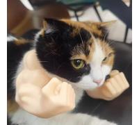 Chat with Muscular Arms - Accessoire De Costume Amusant en Impression 3D pour Chats Et Petits Chiens, Décorations Amusantes, Idéal pour Les Fêtes D'hallowe (Peau, Poing)