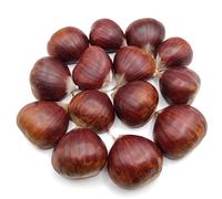 Châtaignes Doux Bio Frais 1Kg - 10Kg (2 Kg)