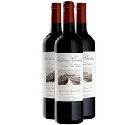 Château Canon Saint-Emilion Grand Cru - Rouge 2016 - Vin Rouge de Bordeaux (3x75cl)