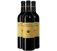 Château Cantelys Pessac-Léognan - Rouge 2017 - Vin Rouge de Bordeaux (3x75cl)