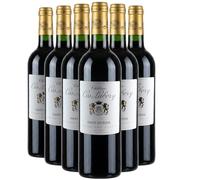 Château Cos Labory Le Saint-Estèphe de Cos Labory - Rouge 2021 - Saint-Estèphe - Vin Rouge de Bordeaux (6x75cl)