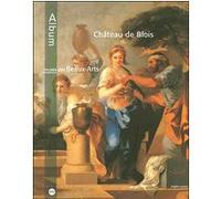 Chateau de blois musee des beaux arts (anglais) Thierry Crépin-Leblond (Auteur)