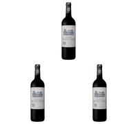 Château Grand Corbin - Vin Rouge - AOP Saint-Emilion Grand Cru - Millésime 2019-1 bouteille x 75cl (Lot de 3)