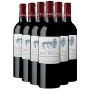 Château Haut Brisson Saint-Emilion Grand Cru - Rouge 2011 - Vin Rouge de Bordeaux (6x75cl)