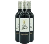 Château La Fleur de Boüard Lalande-de-Pomerol MAGNUM - Rouge 2017 - Vin Rouge de Bordeaux (3x150cl)
