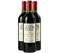 Château Les Grandes Murailles Saint-Emilion Grand Cru - Rouge 2019 - Vin Rouge de Bordeaux (3x75cl)