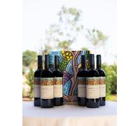 Château l'Hospitalet Grand Vin rouge Art Collection x6 avec caisse bois