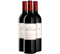 Château Montlandrie Côtes de Bordeaux Castillon - Rouge 2014 - Vin Rouge de Bordeaux (3x75cl)