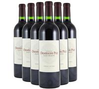 Château Ormes de Pez - Rouge 2018 - Saint-Estèphe - Vin Rouge de Bordeaux (6x75cl)