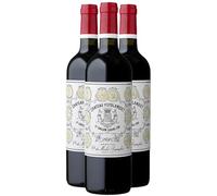Château Puyblanquet Saint-Emilion Grand Cru - Rouge 2020 - Vin Rouge de Bordeaux (3x75cl)