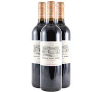 Château Saint-Pierre Saint-Julien - Rouge 2020 - Vin Rouge de Bordeaux (3x75cl)